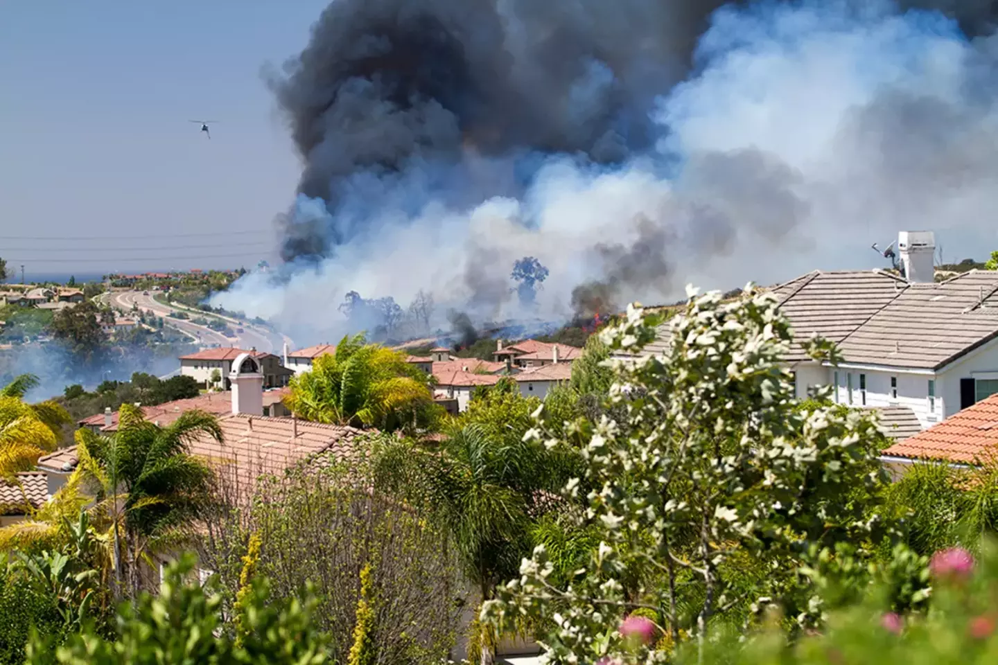 Bushfire smoke rising near a residential neighbourhood with houses, greenery, and clear skies in the foreground.