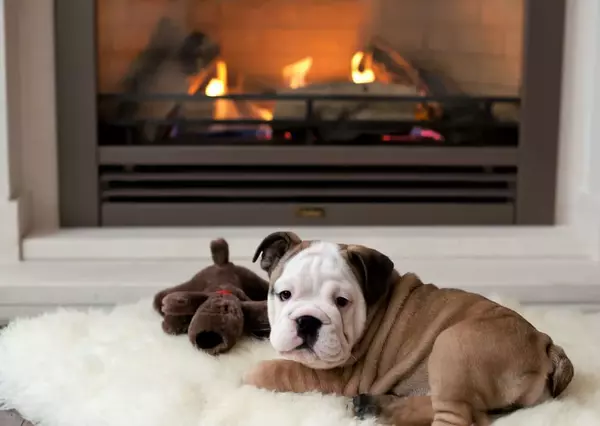 Multinet gas - 5 tips to ensure your favourite appliances last longer