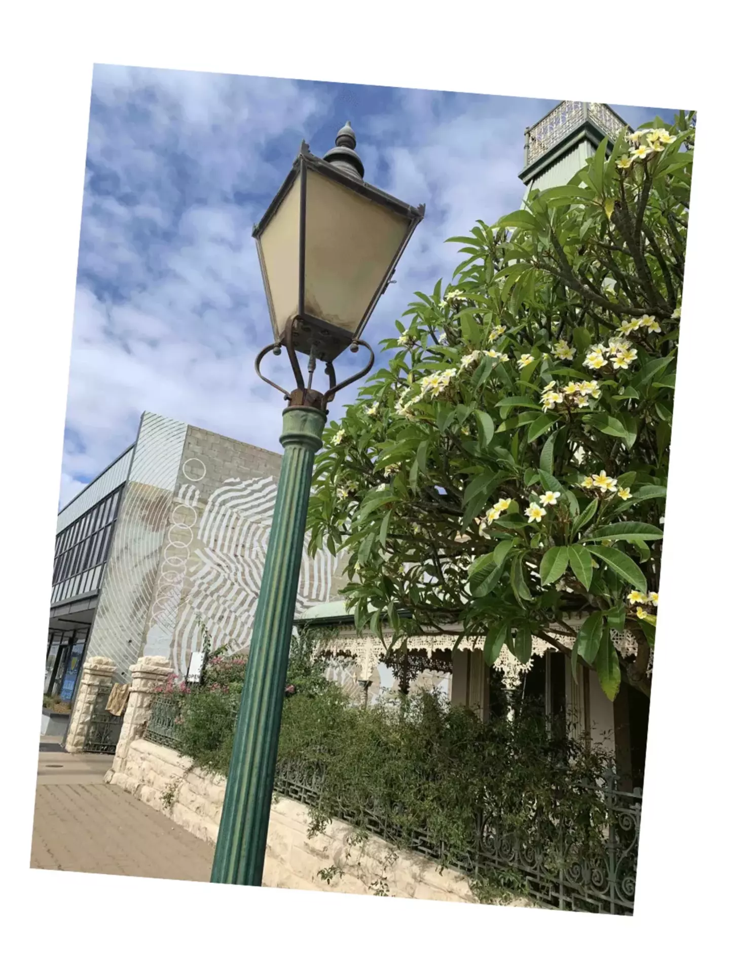 Street gas lamp in a suburban setting surrounded by trees and residential buildings.