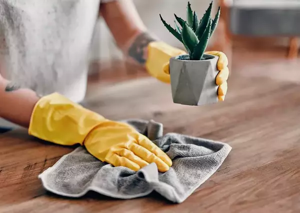 Our Essential Cleaning Guide Part 3: Remaining Interior